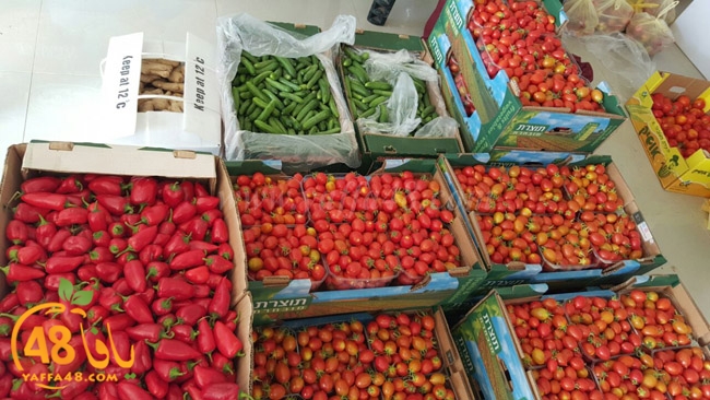 trod ramla kheri (5).jpg